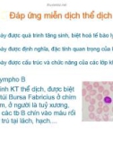 Bài giảng Đáp ứng miễn dịch thể dịch