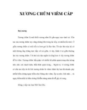 CHỮA BỆNH VỀ TAI - XƯƠNG CHŨM VIÊM CẤP