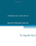 Bài giảng Đám rối thần kinh cánh tay - TS. Nguyễn Văn Lâm