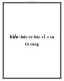 Kiến thức cơ bản về u xơ tử cung