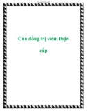 Cua đồng trị viêm thận cấp