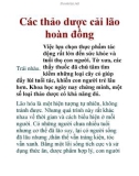 Các thảo dược cải lão hoàn đồng