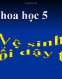 Bài 8: Vệ sinh ở tuổi dậy thì - Bài giảng điện tử Khoa học 5 - L.K.Chi