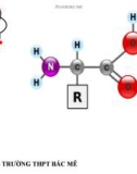 Bài giảng điện tử môn hóa học: Aminoaxit