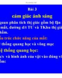 Bài giảng bài 3: Cảm giác ánh sáng