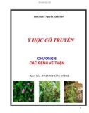 Y học cổ truyền: Chương 6 - Các bệnh về thận - Nguyễn Khắc Bảo