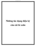 Những tác dụng diệu kỳ của cải lá xoăn