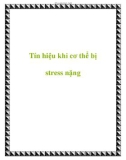 Tín hiệu khi cơ thể bị stress nặng