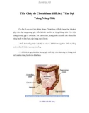 Tiêu Chảy do Clostridium difficile ( Viêm Đại Tràng Màng Giả)