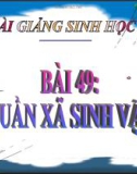 Bài giảng Sinh học 9 bài 49: Quần xã sinh vật