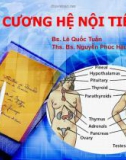 Bài giảng Đại cương hệ nội tiết - BS. Lê Quốc Tuấn, ThS. BS. Nguyễn Phúc Hậu