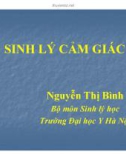 Bộ môn Sinh lý học: Sinh lý cảm giác - Nguyễn Thị Bình