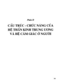 Giáo trình Giải phẫu - Sinh lý người: Phần 2