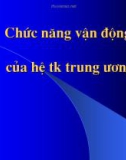 Chức năng vận động của hệ thần kinh trung ương