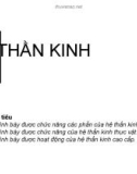 Bài giảng Hệ thần kinh (63 tr)