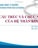 Bài giảng Cấu trúc và chức năng của hệ thần kinh