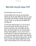 Đột biến chuyển đoạn NST