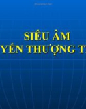 SA Tuyen Thuong Than