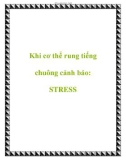 Khi cơ thể rung tiếng chuông cảnh báo: STRESS