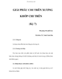 GIẢI PHẪU CHI TRÊN XƯƠNG KHỚP CHI TRÊN (Kỳ 7)