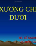 BÀI GIẢNG: XƯƠNG CHI DƯỚI