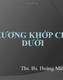 Bài giảng Xương khớp chi dưới - ThS.BS. Hoàng Minh Tú