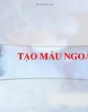 BÀI GIẢNG CT TẠO MÁU NGOÀI TỦY