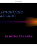 Bài giảng Hình ảnh giải phẫu CT ngực - Bụng - BS. Dương Văn Nhân