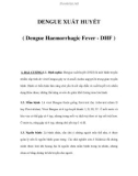 DENGUE XUẤT HUYẾT ( Dengue Haemorrhagic Fever - DHF )