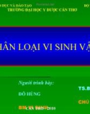 PHÂN LOẠI VI SINH VẬT