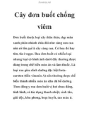 Cây đơn buốt chống viêm