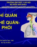 Bài giảng Giải phẫu: Khí quản-phế quản-phổi - Ths.Bs. Nguyễn Ngọc Ánh