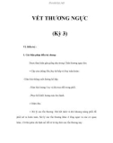 VẾT THƯƠNG NGỰC (Kỳ 3)