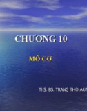 Giải phẩu học: Mô cơ