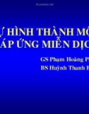 Bài giảng Sự hình thành một đáp ứng miễn dịch