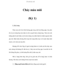 Chảy máu mũi (Kỳ 1)