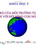 Bài 64: Vai trò của MT tự nhiên đối với ĐS con người - Bài giảng điện tử Khoa học 5 - T.B.Minh