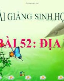 Bài giảng Sinh học 6 bài 52: Địa y