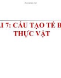 Bài giảng Sinh học 6 bài 7: Cấu tạo tế bào thực vật