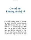 Cơ chế hút khoáng của hệ rễ