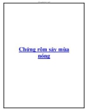 Chứng rôm sảy mùa nóng.