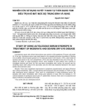 Nghiên cứu sử dụng huyết thanh tự thân dạng TGM điều trị khô mắt mức độ trung bình và nặng