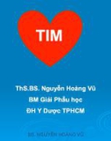 Bài giảng Giải phẫu học: Tim - ThS.BS. Nguyễn Hoàng Vũ