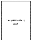 Làm gì khi bà bầu bị cúm?