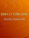 Bài giảng Sinh lý cảm giác - Nguyễn Trung Kiên