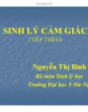 Bài giảng Sinh lý cảm giác (tiếp theo) - Nguyễn Thị Bình