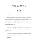 Viêm gan Virut A (Kỳ 2)