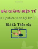 Slide bài Thân cây (TT) - Tự Nhiên Xã Hội 3 - GV.H.T.Minh