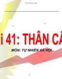 Slide bài Thân cây - Tự Nhiên Xã Hội 3 - GV.B.N.Kha