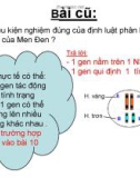 Giáo án điện tử sinh học: Sinh học 12-Bài 10 TƯƠNG TÁC GEN VÀ TÁC ĐỘNG ĐA HIỆU CỦA GEN